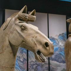 Liverpool, Terracotta Warriors, World Museum