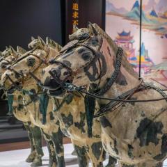 Liverpool, Terracotta Warriors, World Museum