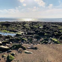 Hartlepool