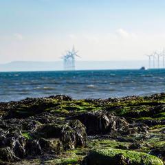 Hartlepool