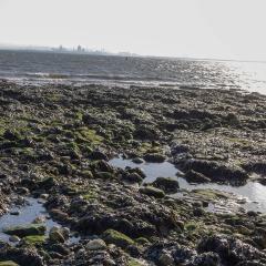 Hartlepool