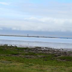 Spurn Point, Spurn Safari