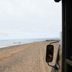 Spurn Point, Spurn Safari