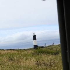 Spurn Point, Spurn Safari