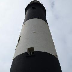 Spurn Point, Spurn Safari