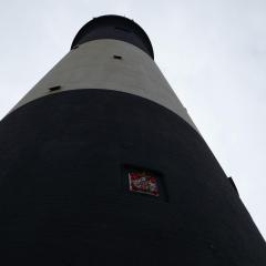 Spurn Point, Spurn Safari