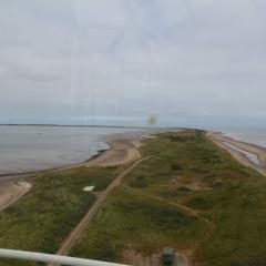 Spurn Point, Spurn Safari