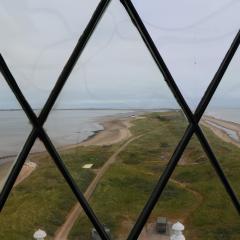 Spurn Point, Spurn Safari