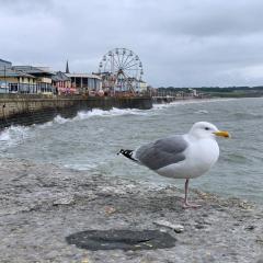 Bridlington, Fraisthorpe