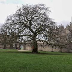 Bolsover Castle