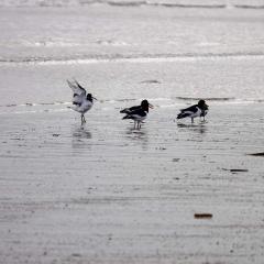Filey