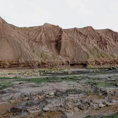 Brigg, Filey