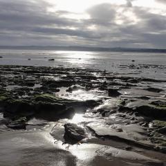 Brigg, Filey