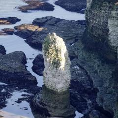 Flamborough, Walk