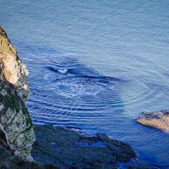 Flamborough, Walk