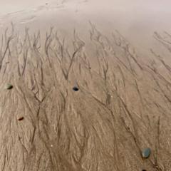 Hornsea