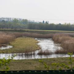 North Cave Wetlands, Yorkshire Wildlife Trust