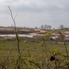 North Cave Wetlands, Yorkshire Wildlife Trust