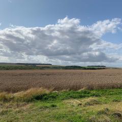 Cycling, Huggate, Millington, Nunburnholme, Pocklington Hills Circular, Warter, ebike