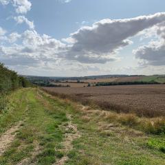 Cycling, Huggate, Millington, Nunburnholme, Pocklington Hills Circular, Warter, ebike