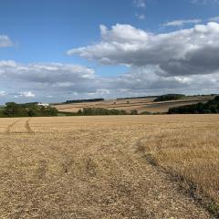 Cycling, Huggate, Millington, Nunburnholme, Pocklington Hills Circular, Warter, ebike