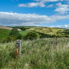 Cycling, Huggate, Millington, Nunburnholme, Pocklington Hills Circular, Warter, ebike
