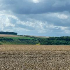 Cycling, Huggate, Millington, Nunburnholme, Pocklington Hills Circular, Warter, ebike
