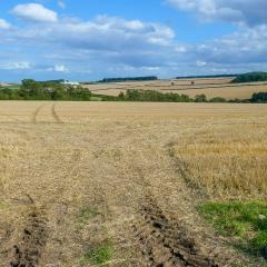 Cycling, Huggate, Millington, Nunburnholme, Pocklington Hills Circular, Warter, ebike