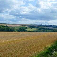 Cycling, Huggate, Millington, Nunburnholme, Pocklington Hills Circular, Warter, ebike