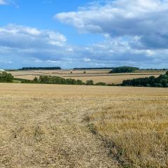Cycling, Huggate, Millington, Nunburnholme, Pocklington Hills Circular, Warter, ebike