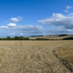 Cycling, Huggate, Millington, Nunburnholme, Pocklington Hills Circular, Warter, ebike