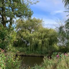 Bishopthorpe, Cycling, ebike