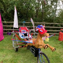 Cycling, Fangfest, ebike