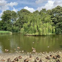 Cycling, Hills Around Pocklington, Huggate, Middleton on Wolds, North Dalton, Warter, ebike