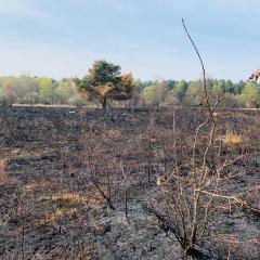 Allerthorpe Common, Allerthorpe Woods, Cycling