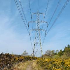 Allerthorpe Common, Allerthorpe Woods, Cycling