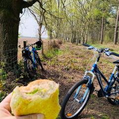Allerthorpe Common, Allerthorpe Woods, Cycling