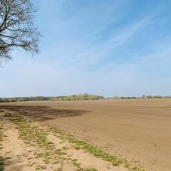 Allerthorpe Common, Allerthorpe Woods, Cycling