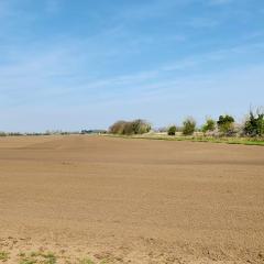 Allerthorpe Common, Allerthorpe Woods, Cycling
