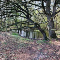 Allerthorpe Common, Allerthorpe Woods, Cycling