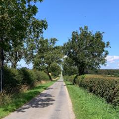 Cycling, Millington Pastures, Thixendale and Heart of the Wolds, ebike