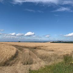 Cycling, Millington Pastures, Thixendale and Heart of the Wolds, ebike
