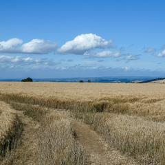 Cycling, Millington Pastures, Thixendale and Heart of the Wolds, ebike