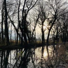 Canal, Pocklington
