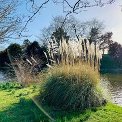 Burnby Hall Gardens