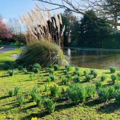 Burnby Hall Gardens