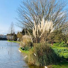 Burnby Hall Gardens