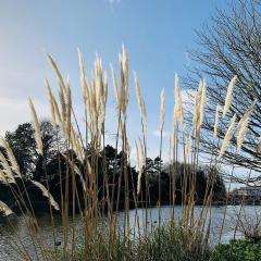 Burnby Hall Gardens