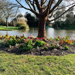 Burnby Hall Gardens