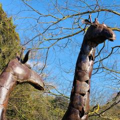 Burnby Hall Gardens